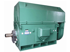 牡丹Y系列6KV高压电机